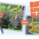 Illustration for article titled A Scientist Explained How I Can Sorta Blame China For The Huge Amount Of Bird Shit On My Cars